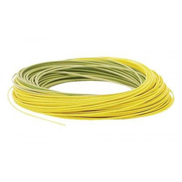 rio gold in touch fly line wf5f